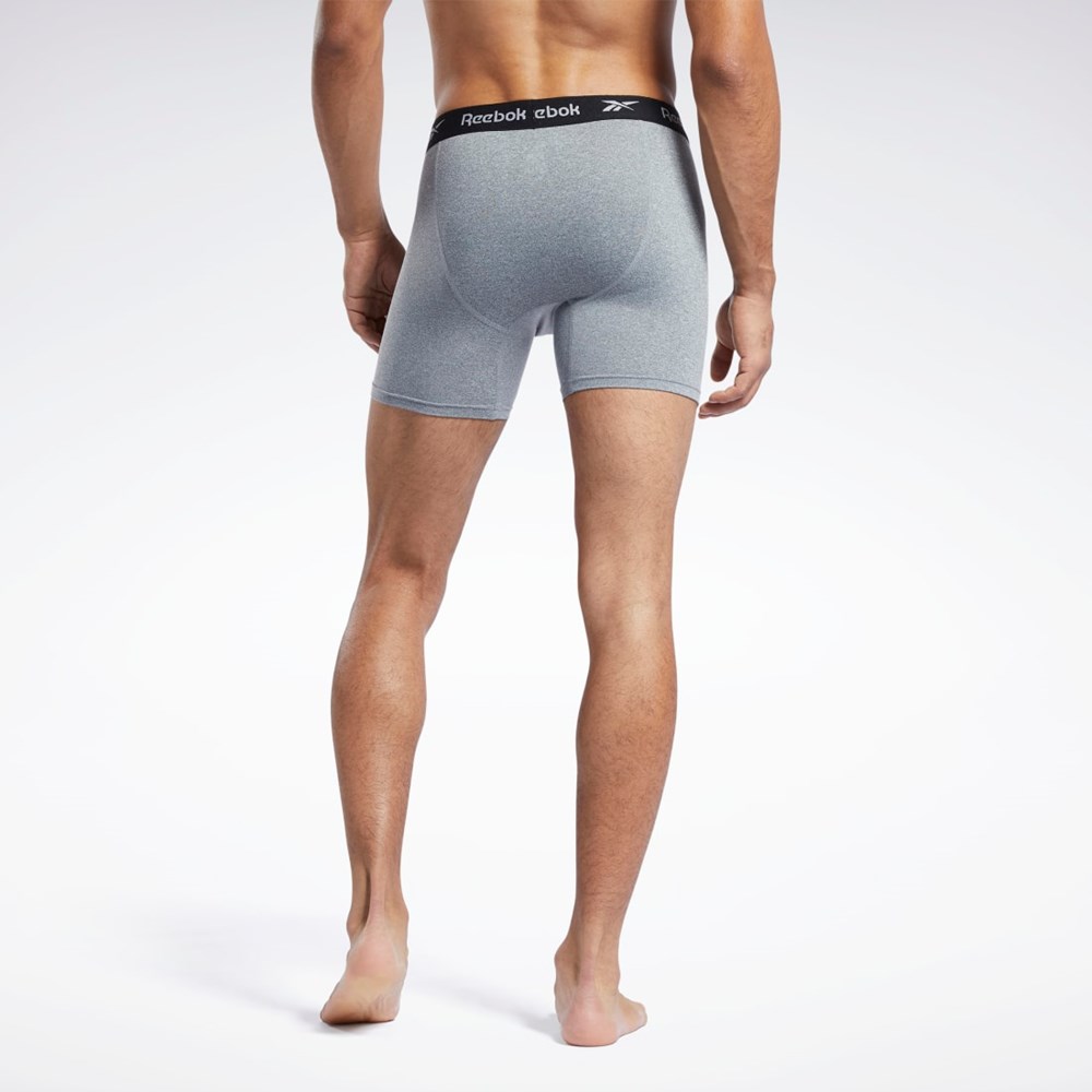 Reebok 3PK PERF BOXER BRIEF - SPORT S Multi | CPUEN-8296