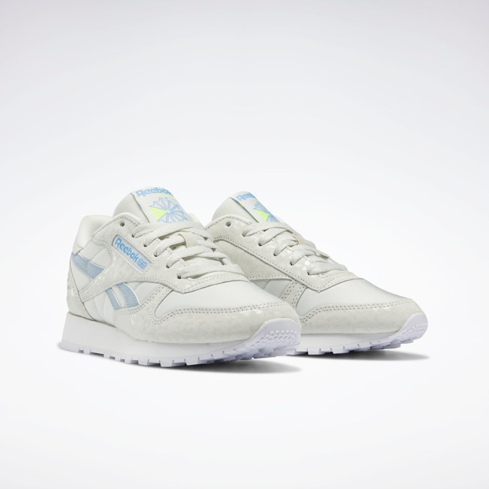 Reebok Classic Leather Shoes Grå Vita Grå | STLYC-0573