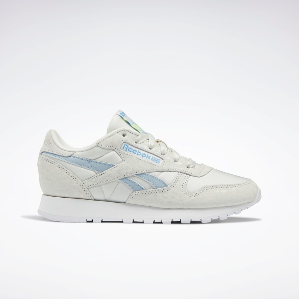 Reebok Classic Leather Shoes Grå Vita Grå | STLYC-0573