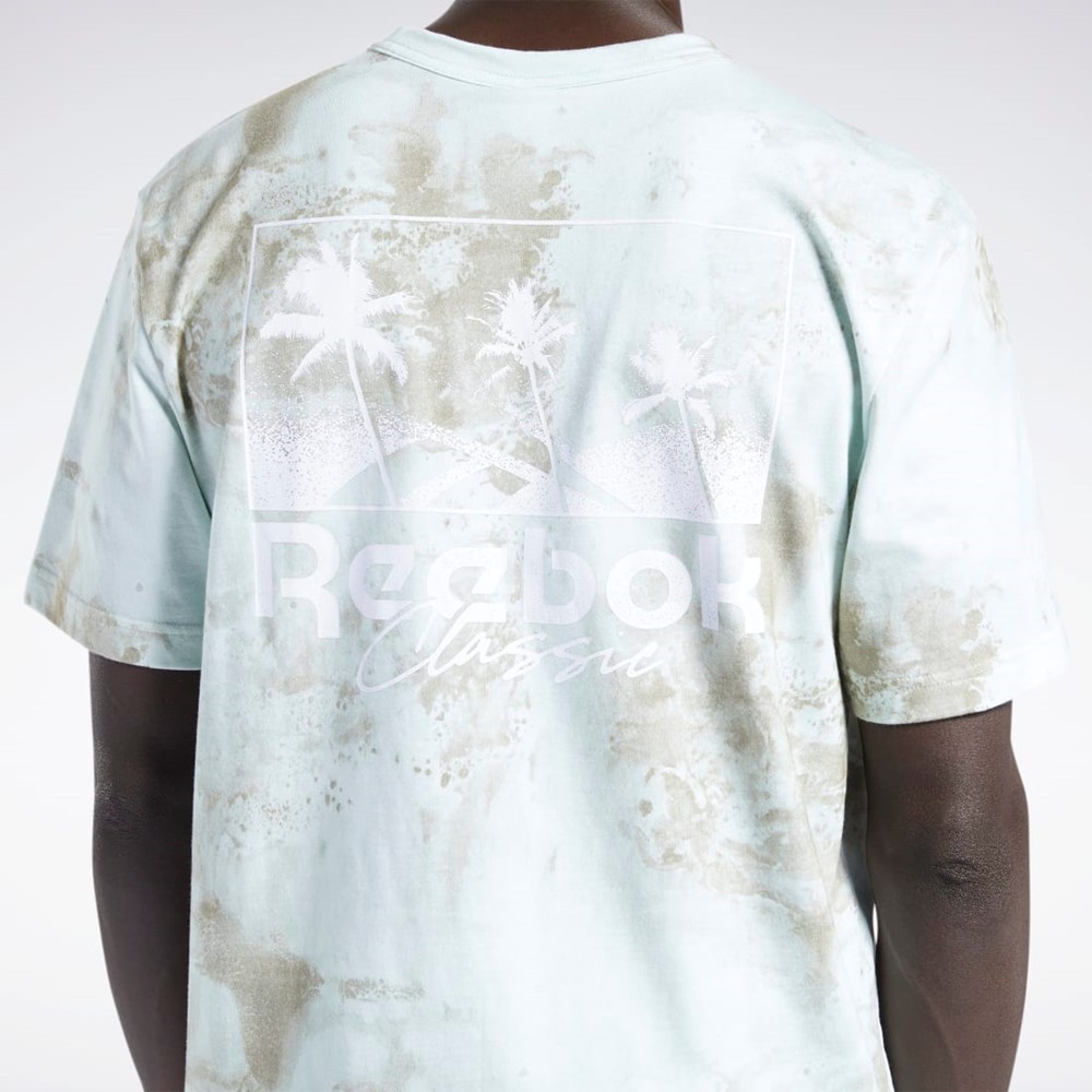 Reebok Classics Allover Print Tryck T-Shirt Ljus | OWLTC-7891