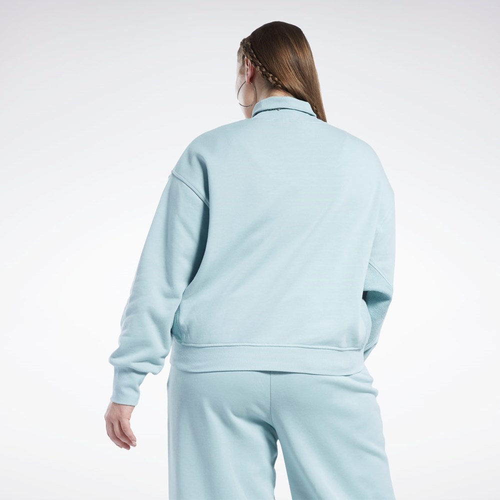 Reebok Classics Bomull French Terry Sweatshirt (Plus Size) Grå | OZBTL-3401