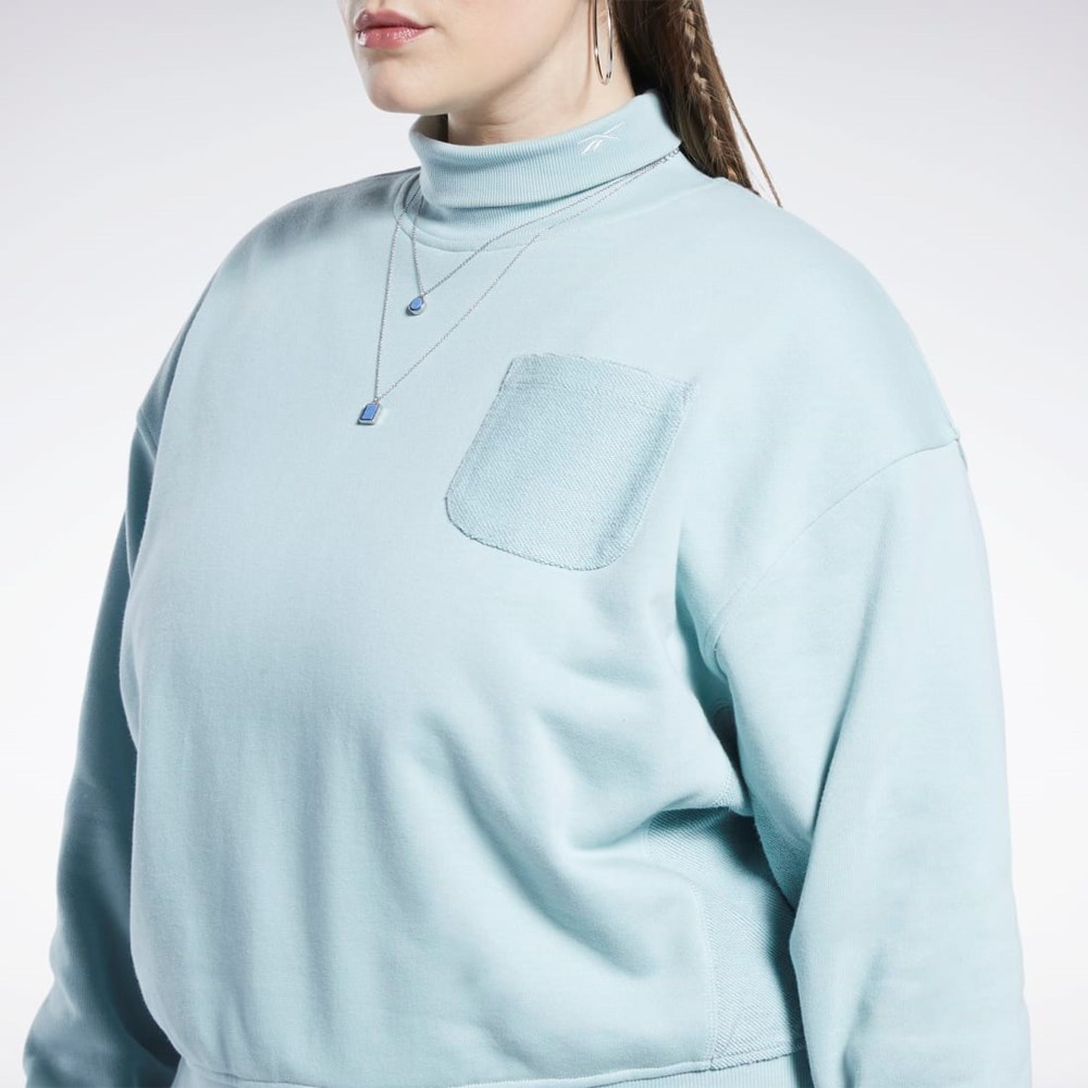 Reebok Classics Bomull French Terry Sweatshirt (Plus Size) Grå | OZBTL-3401