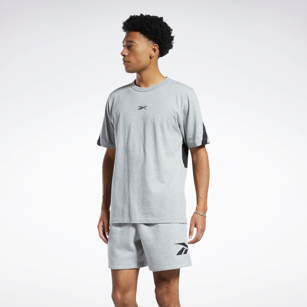 Reebok Classics Brand Proud T-Shirt Grå | CXPRZ-0648