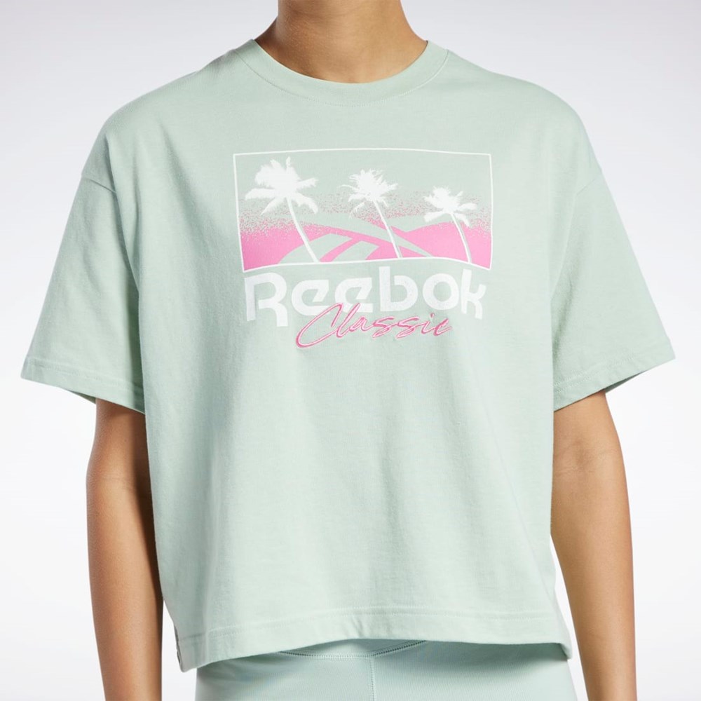 Reebok Classics Summer Tryck T-Shirt Ljus | MESWO-9280