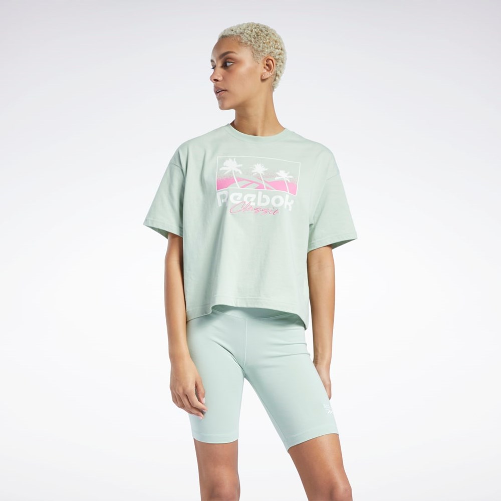 Reebok Classics Summer Tryck T-Shirt Ljus | MESWO-9280