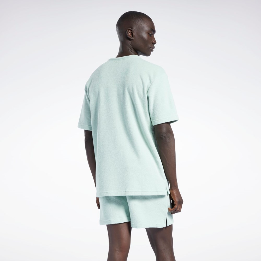 Reebok Classics Terry T-Shirt Ljus | XWZBI-6273