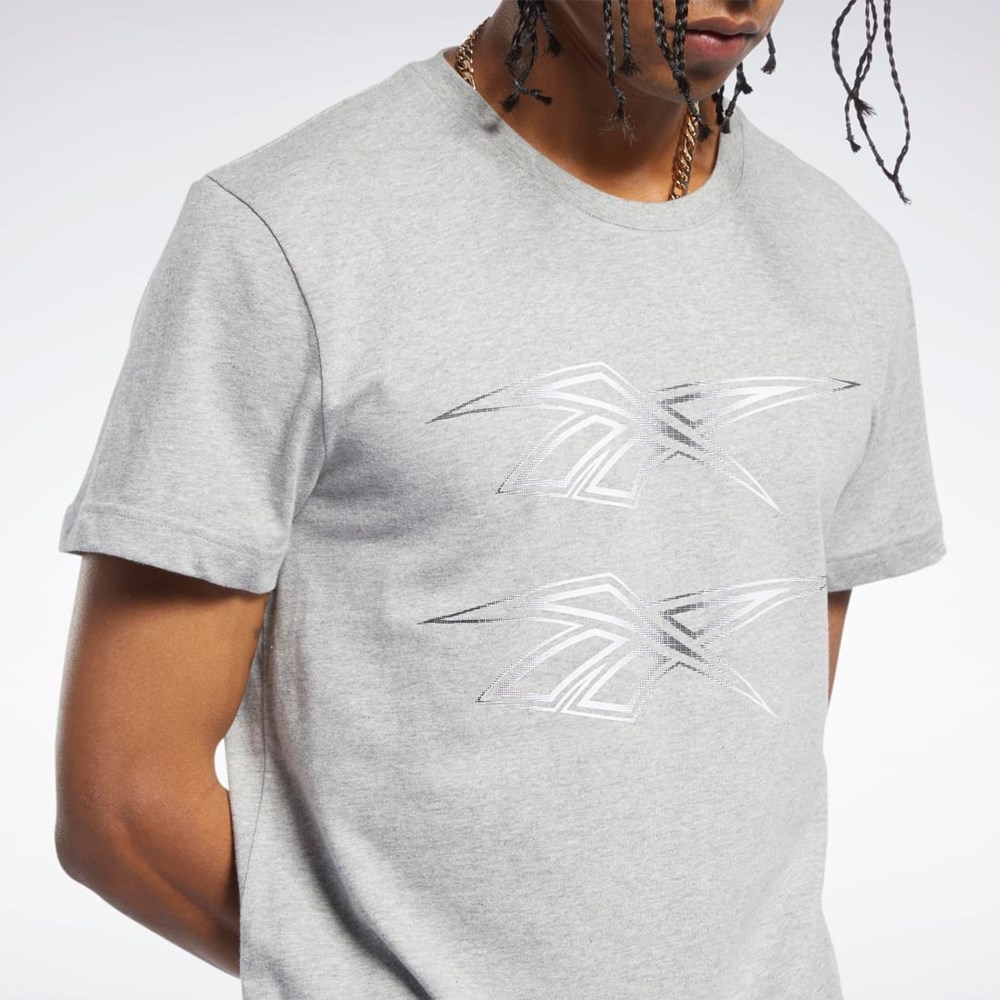 Reebok Classics Tryck Tee Grå | JBLWZ-2631