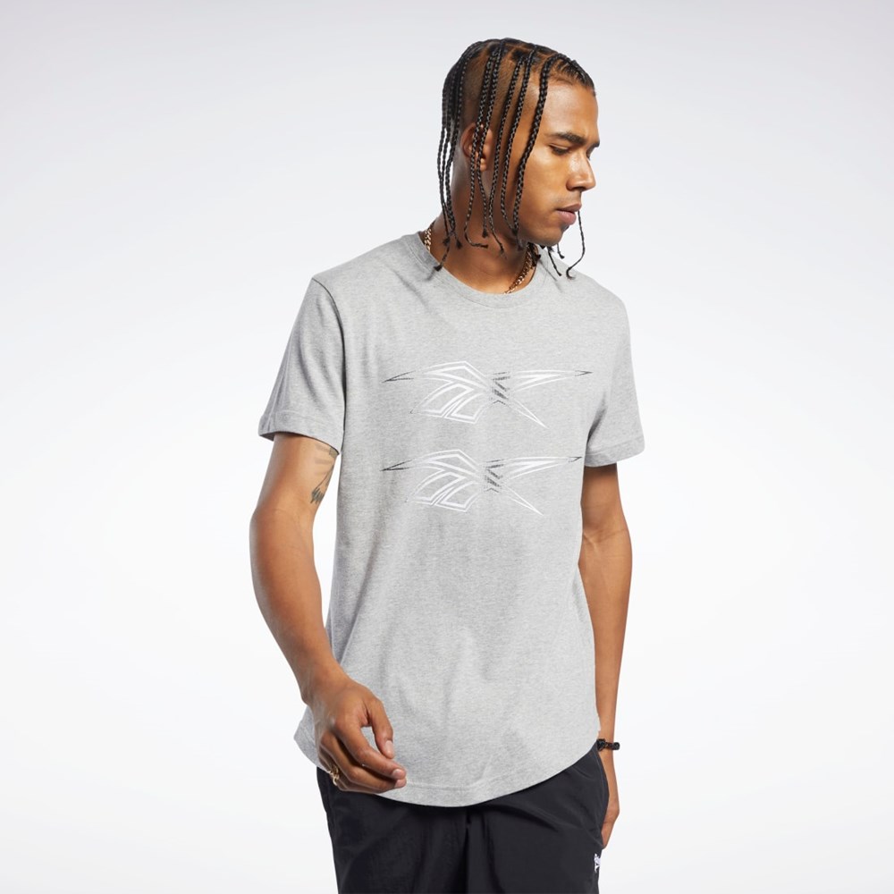 Reebok Classics Tryck Tee Grå | MUQYA-9761