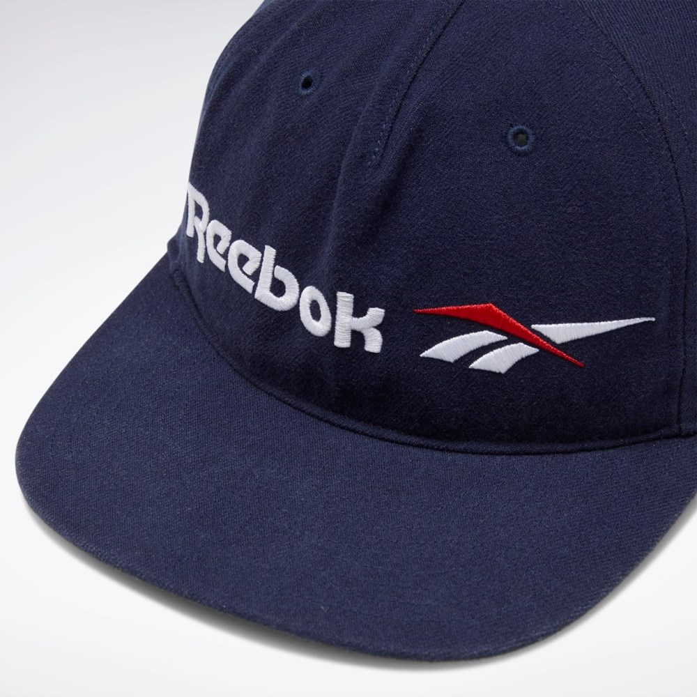 Reebok Classics Vector Platta Peak Hat Marinblå Marinblå | WMCSO-2635