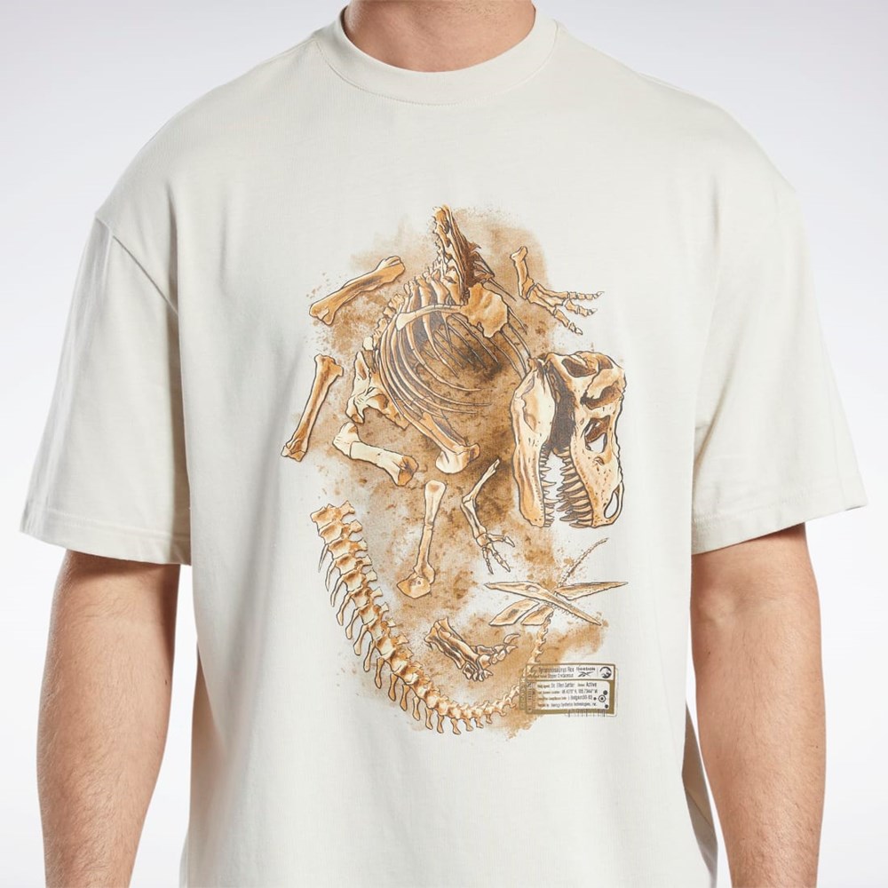 Reebok Jurassic World Fossil T-Shirt Stucco | QBTNS-4908