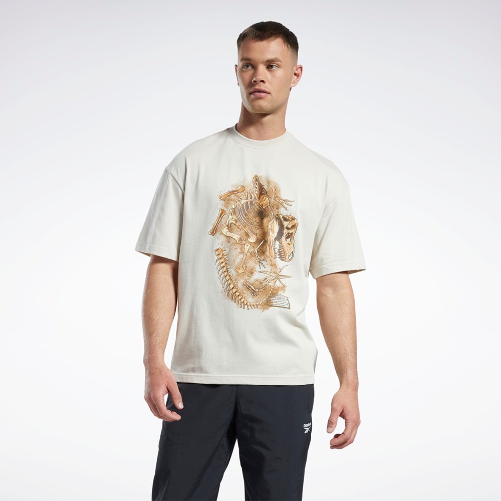 Reebok Jurassic World Fossil T-Shirt Stucco | QURHE-8071