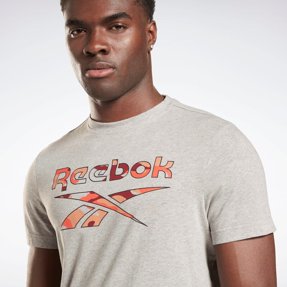 Reebok Reebok Identity Big Logo T-Shirt Grå | DRKCH-4587