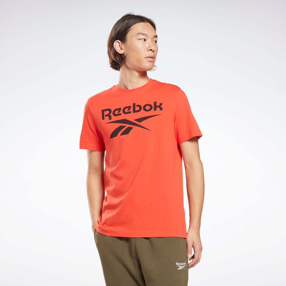 Reebok Reebok Identity Big Logo T-Shirt Röda | JHGMR-9230