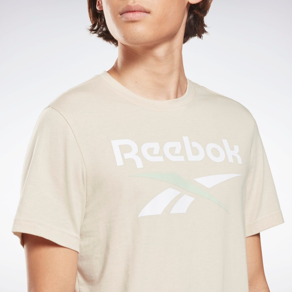 Reebok Reebok Identity Big Logo T-Shirt Stucco | NQXTE-5084