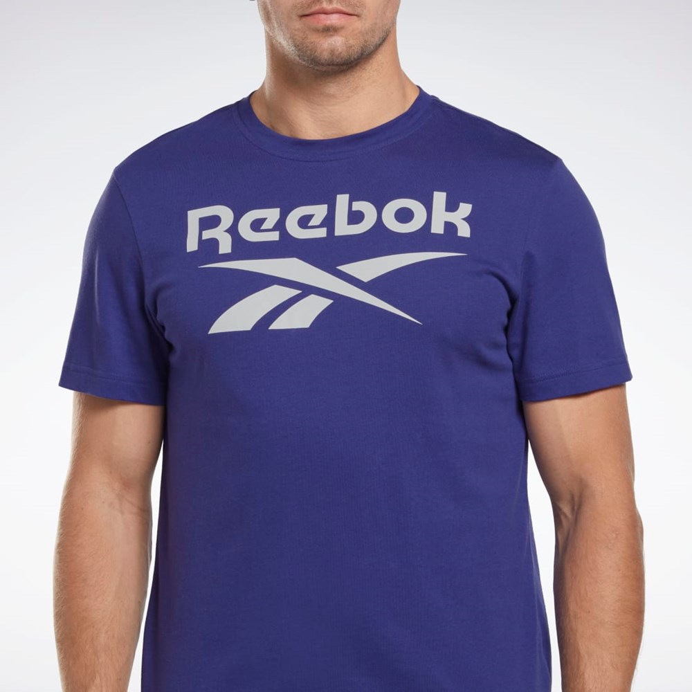 Reebok Reebok Identity Big Logo T-Shirt Lila | SGKQX-5384