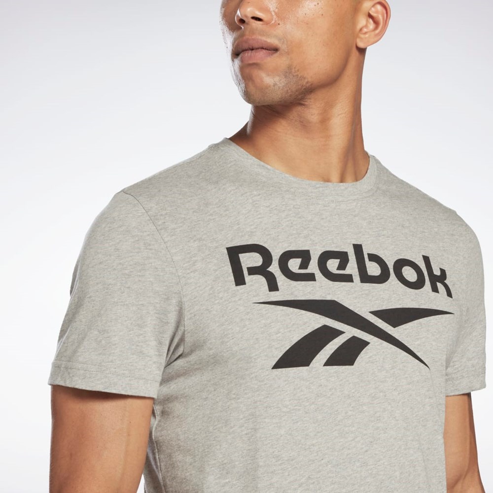 Reebok Reebok Identity Big Logo T-Shirt Grå | UNBWD-6973