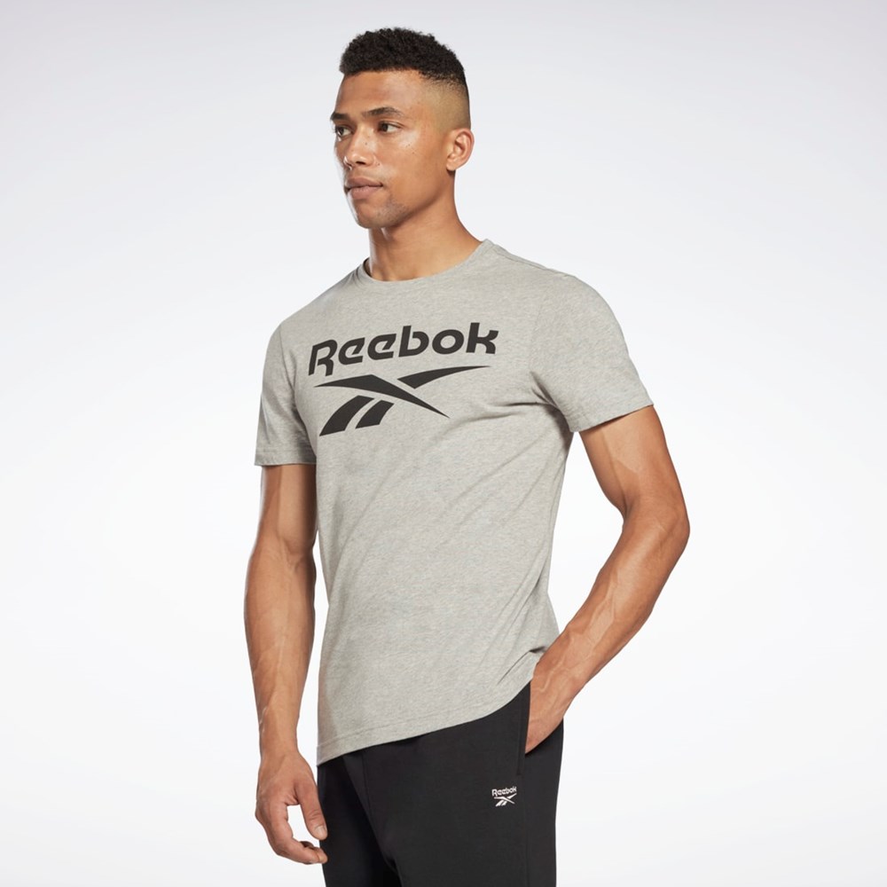 Reebok Reebok Identity Big Logo T-Shirt Grå | UNBWD-6973