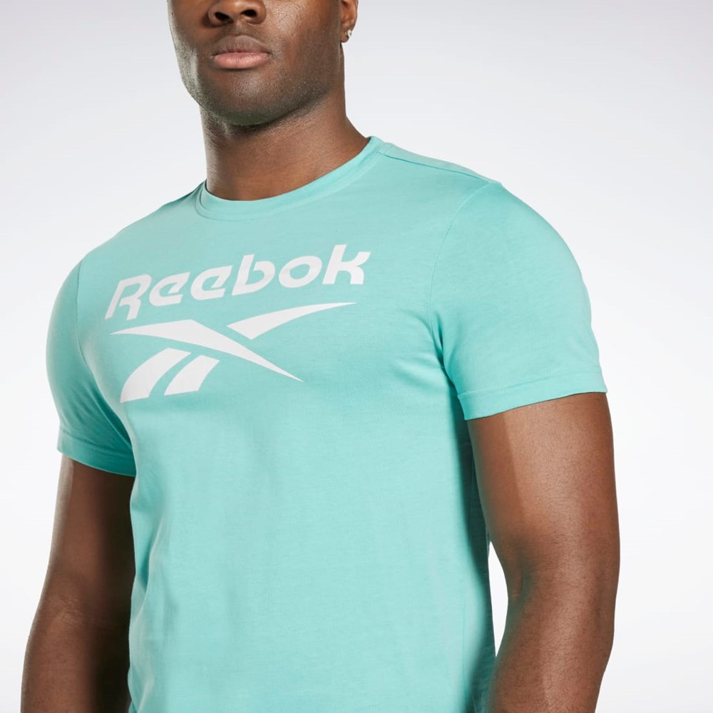 Reebok Reebok Identity Big Logo T-Shirt Semi Classic Teal | UPMKG-2598