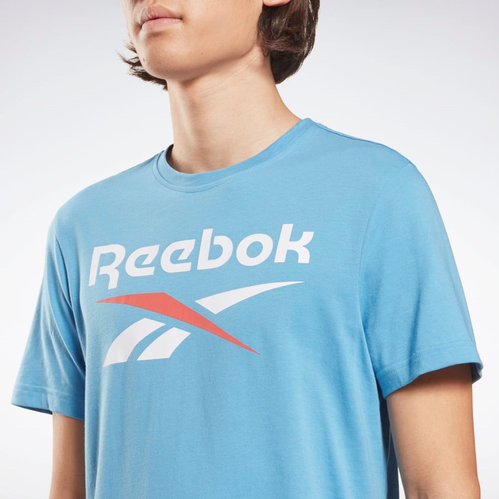 Reebok Reebok Identity Big Logo T-Shirt Blå | ZPFAI-0918