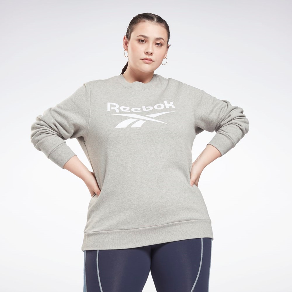 Reebok Reebok Identity Logo Fleece Crew Sweatshirt (Plus Size) Grå | GHIWK-7635