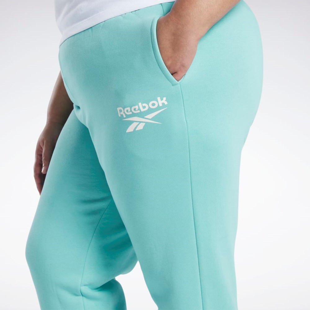 Reebok Reebok Identity Logo Fleece Joggers (Plus Size) Semi Classic Teal | BGNYO-6480