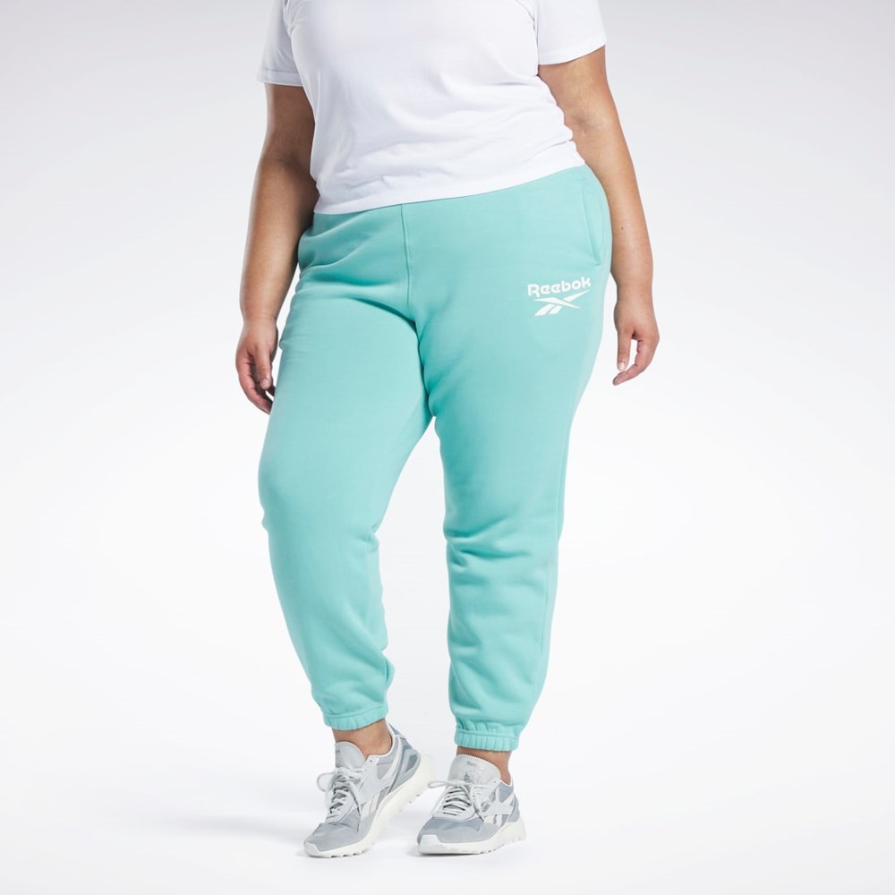 Reebok Reebok Identity Logo Fleece Joggers (Plus Size) Semi Classic Teal | BGNYO-6480