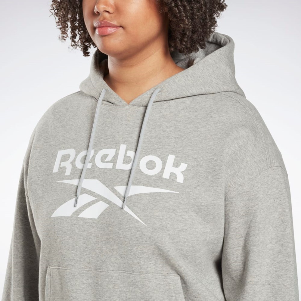 Reebok Reebok Identity Logo Fleece Pullover Hoodie (Plus Size) Grå | HABSN-4173