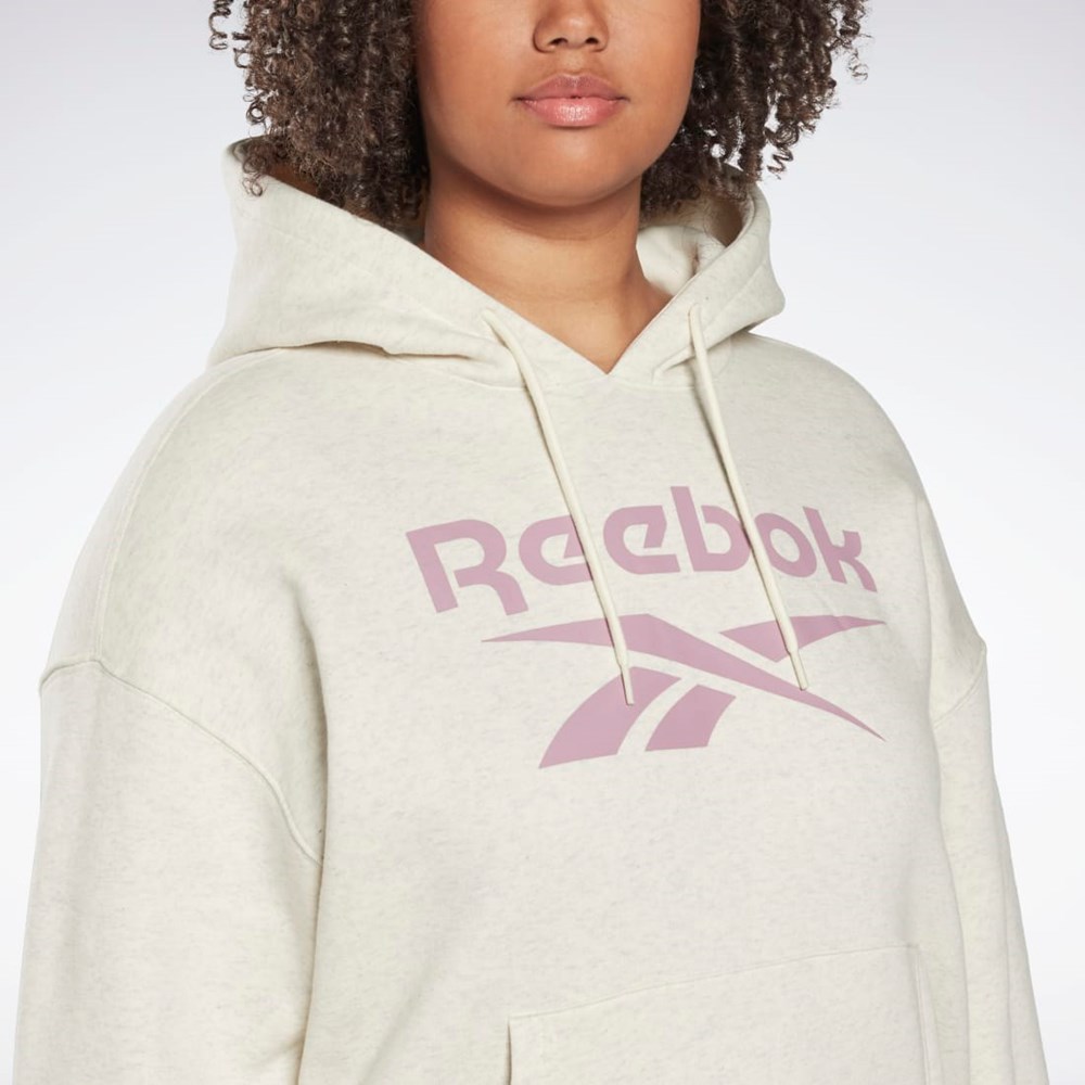 Reebok Reebok Identity Logo Fleece Pullover Hoodie (Plus Size) Vita | MWQKB-5803