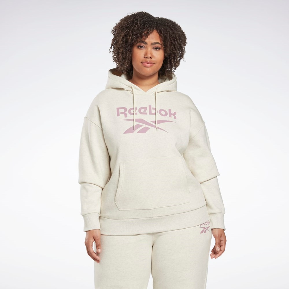 Reebok Reebok Identity Logo Fleece Pullover Hoodie (Plus Size) Vita | MWQKB-5803