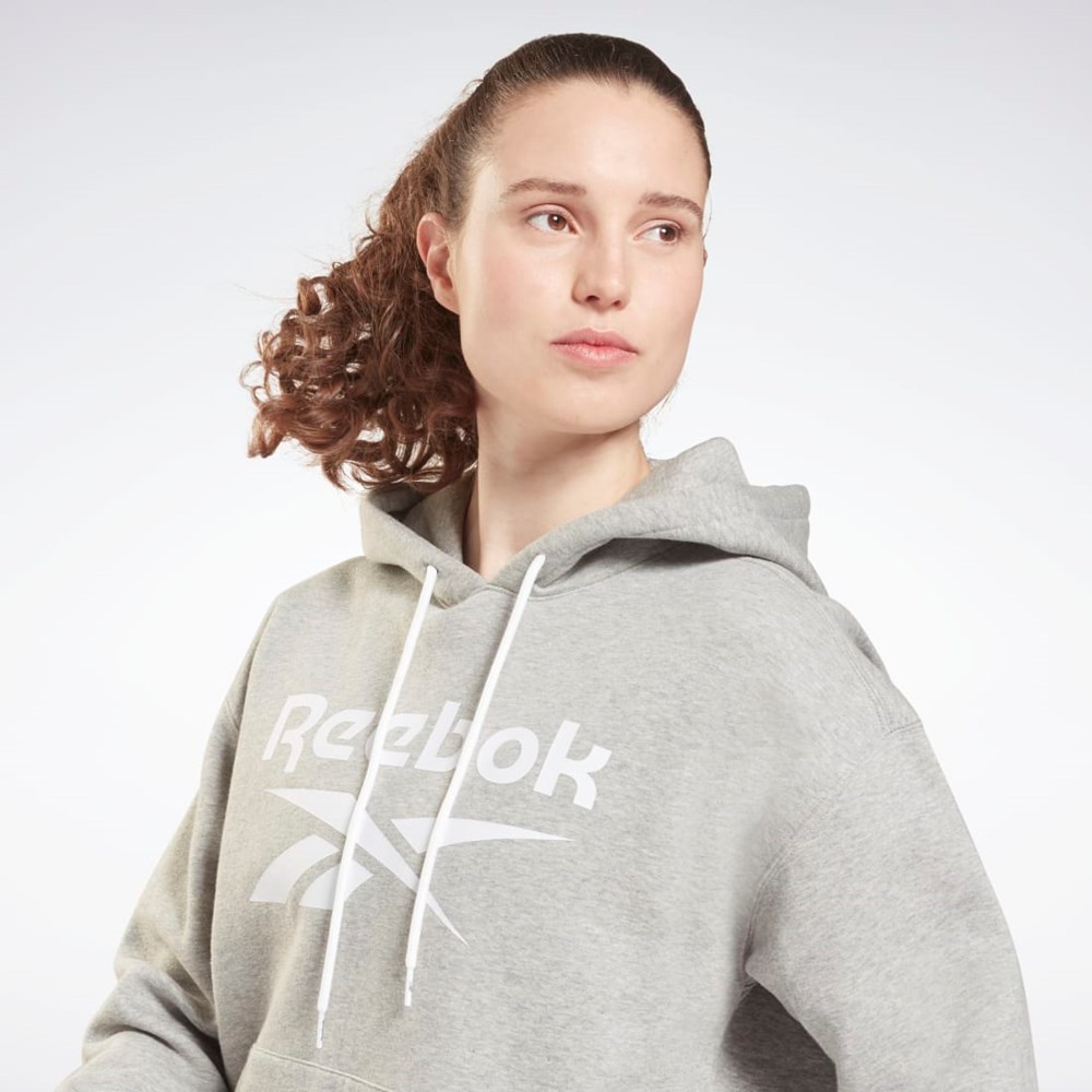 Reebok Reebok Identity Logo Fleece Pullover Hoodie Grå | PXSBU-5492