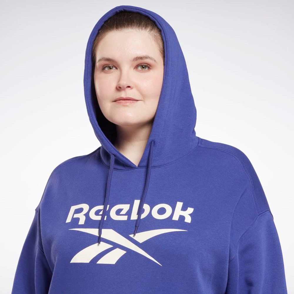 Reebok Reebok Identity Logo Fleece Pullover Hoodie (Plus Size) Lila | WDCTV-1780