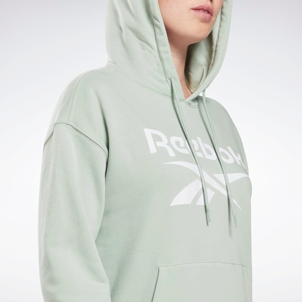 Reebok Reebok Identity Logo French Terry Hoodie Ljus | GJVUM-2794