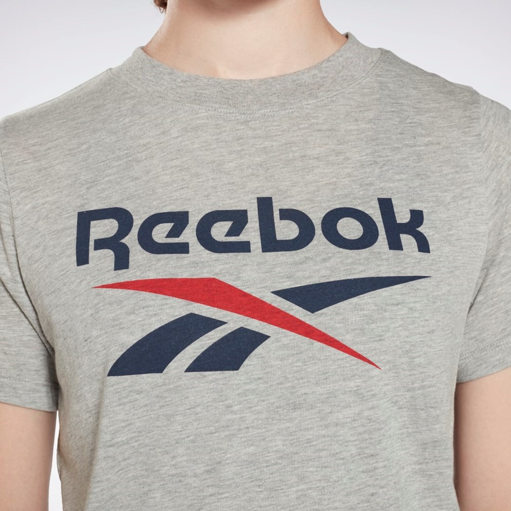 Reebok Reebok Identity Logo T-Shirt Grå | OUQZK-7486