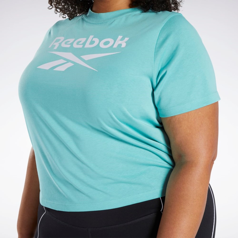 Reebok Reebok Identity T-Shirt (Plus Size) Semi Classic Teal | VLHJS-7601