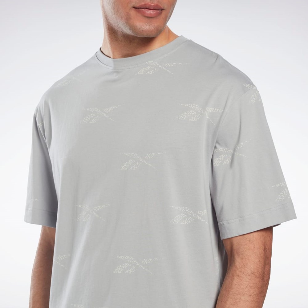 Reebok Reebok Identity Vector T-Shirt Grå | DTCUG-8963