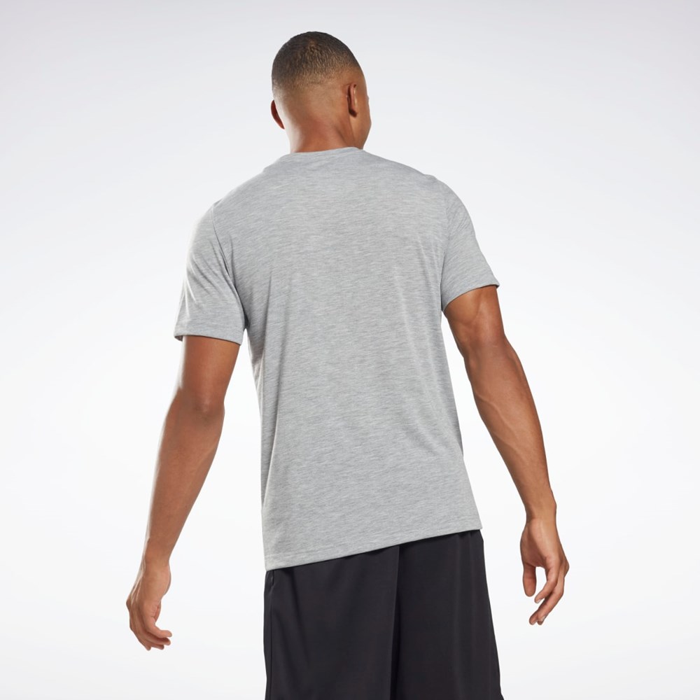 Reebok Reebok Tryck Series T-Shirt Grå | PAWHN-4829