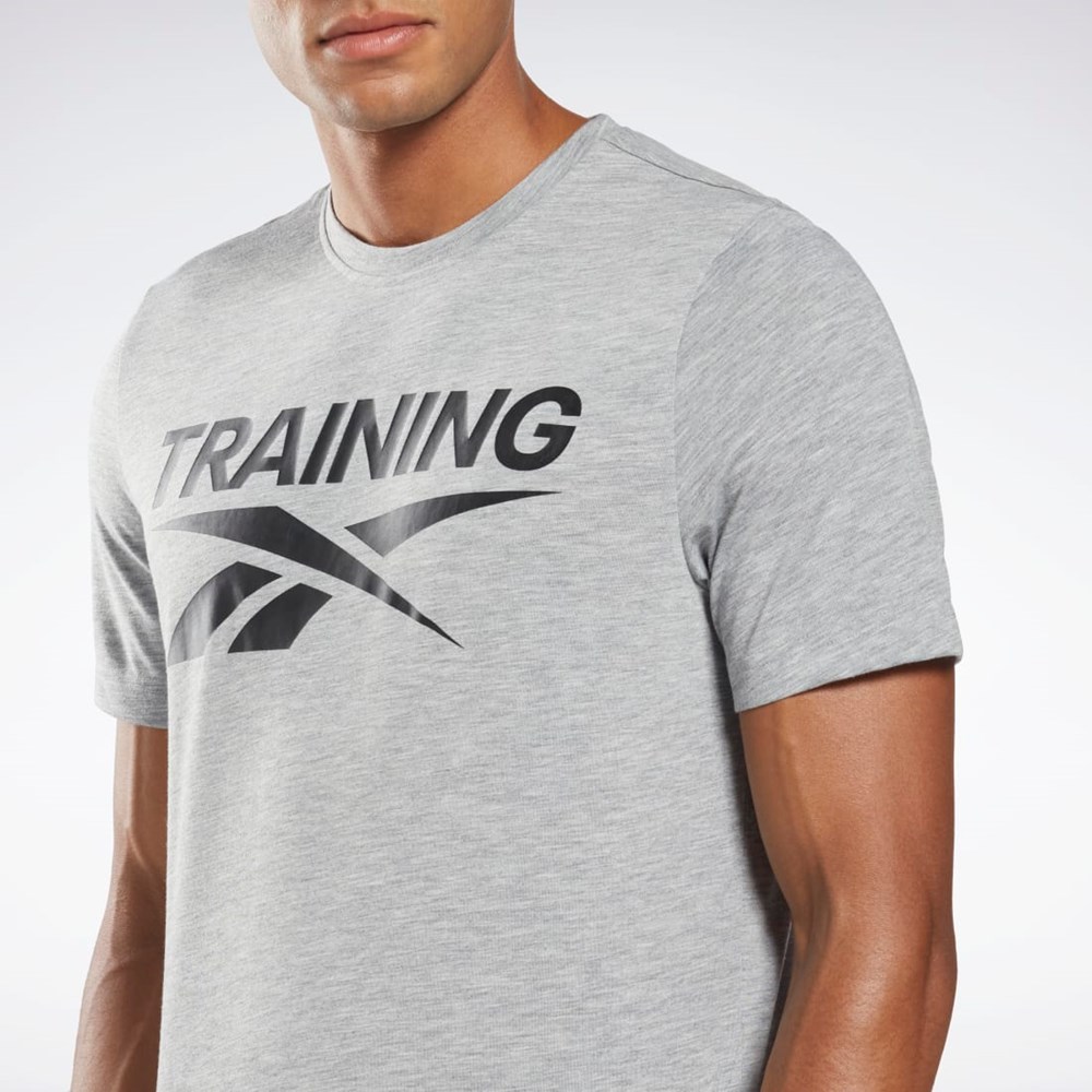 Reebok Reebok Tryck Series T-Shirt Grå | PAWHN-4829