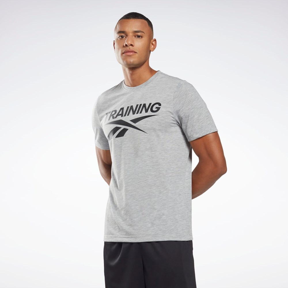 Reebok Reebok Tryck Series T-Shirt Grå | PAWHN-4829