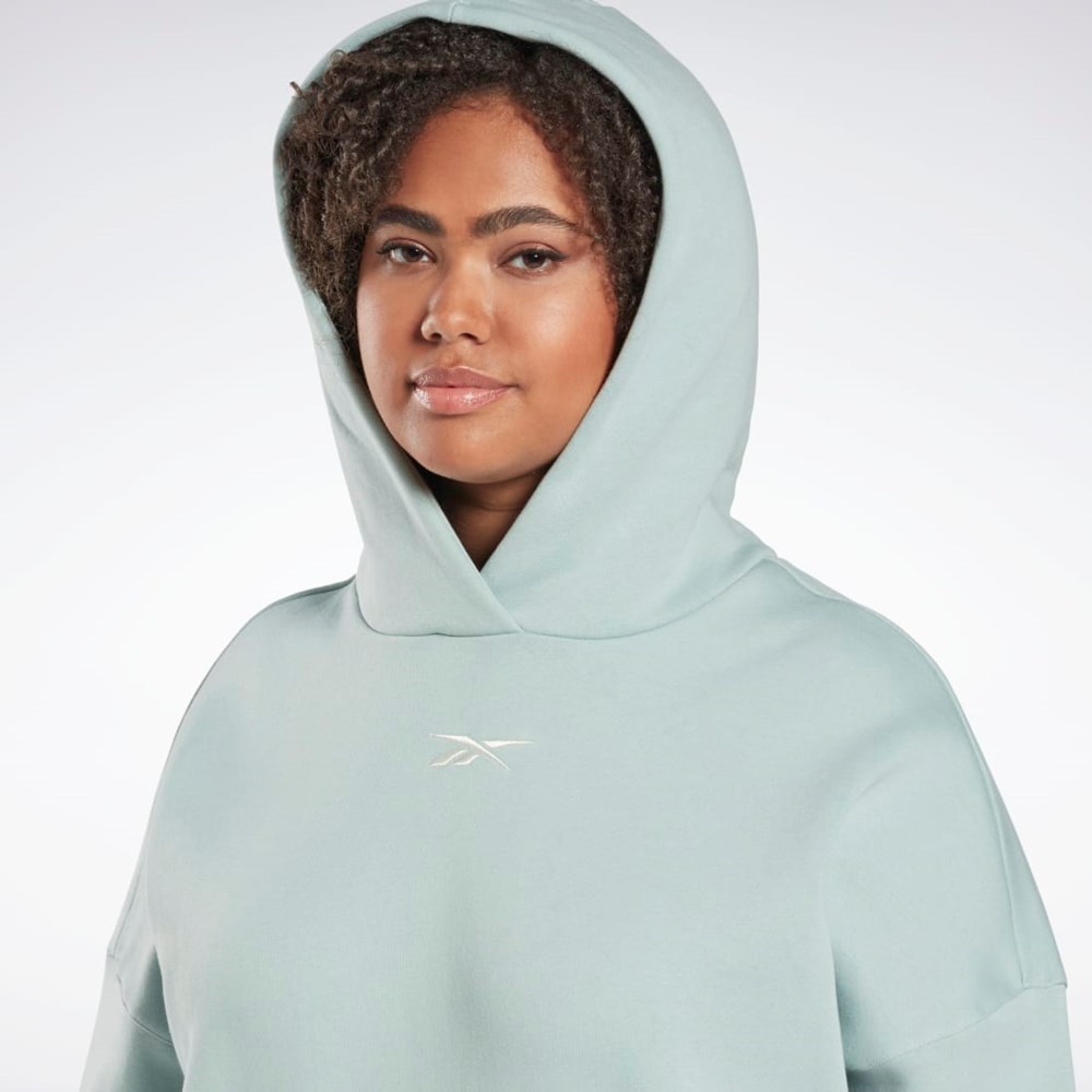 Reebok Studio Recycled Oversize Hoodie (Plus Size) Grå | ZIDHX-9763