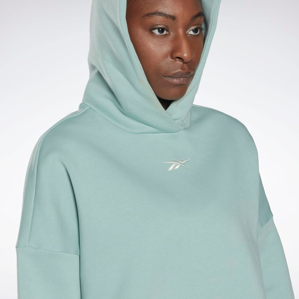 Reebok Studio Recycled Oversize Hoodie Grå | APFGD-2568