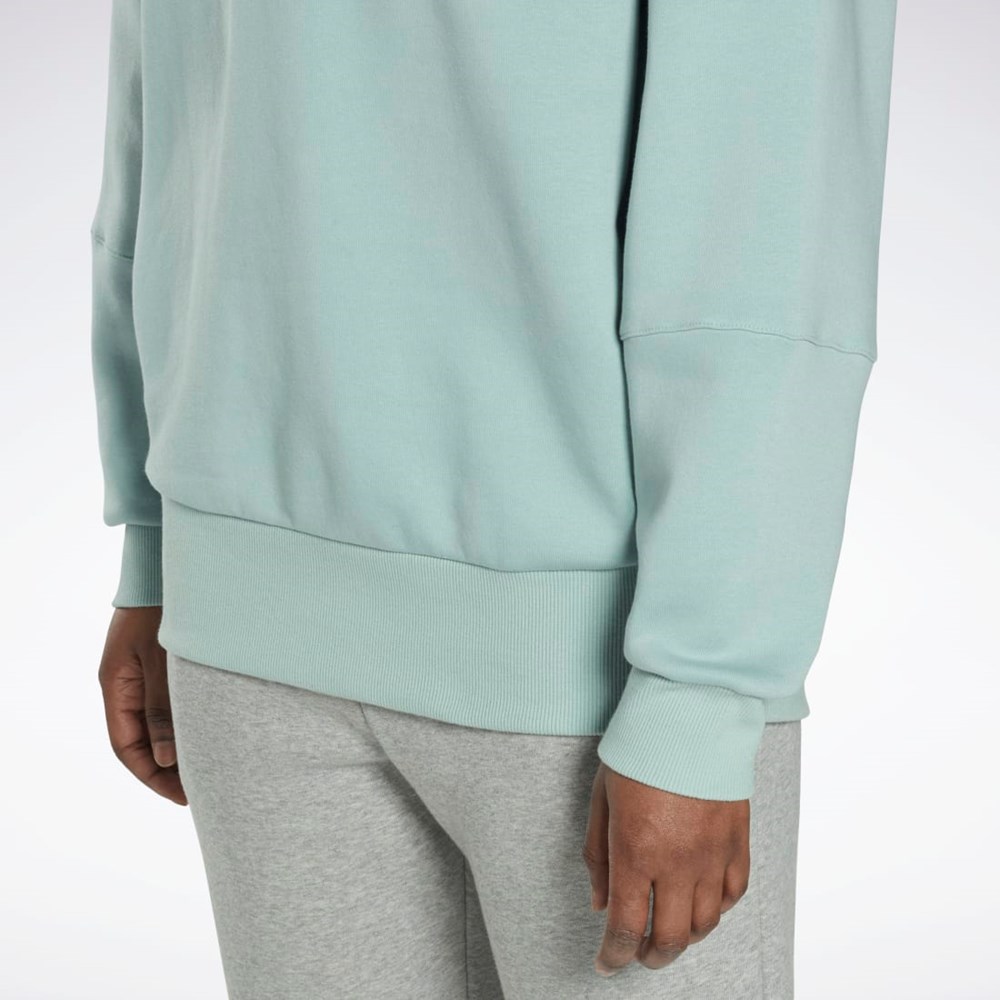 Reebok Studio Recycled Oversize Hoodie Grå | APFGD-2568