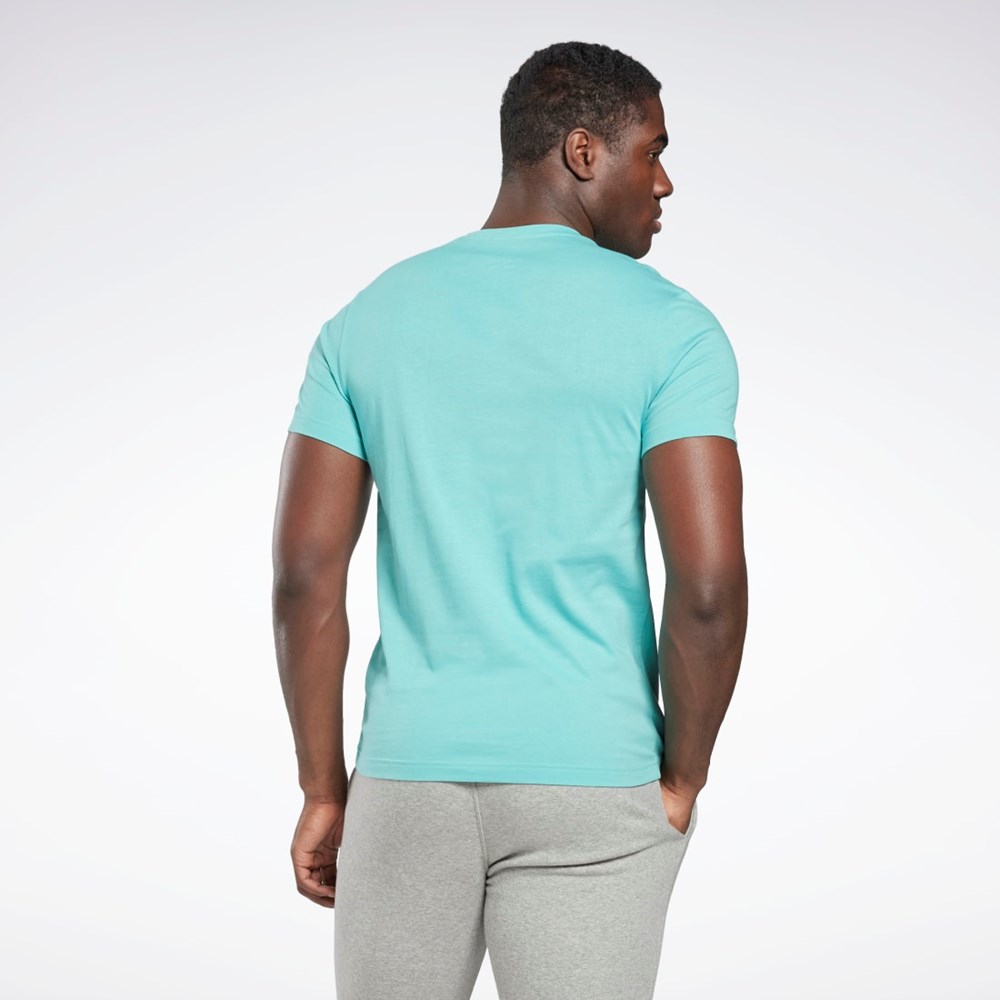 Reebok Tryck Series Linear Logo Tee Semi Classic Teal | NQOKP-1657