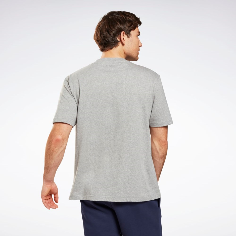 Reebok Tryck Series T-Shirt Grå | DUMEQ-8690