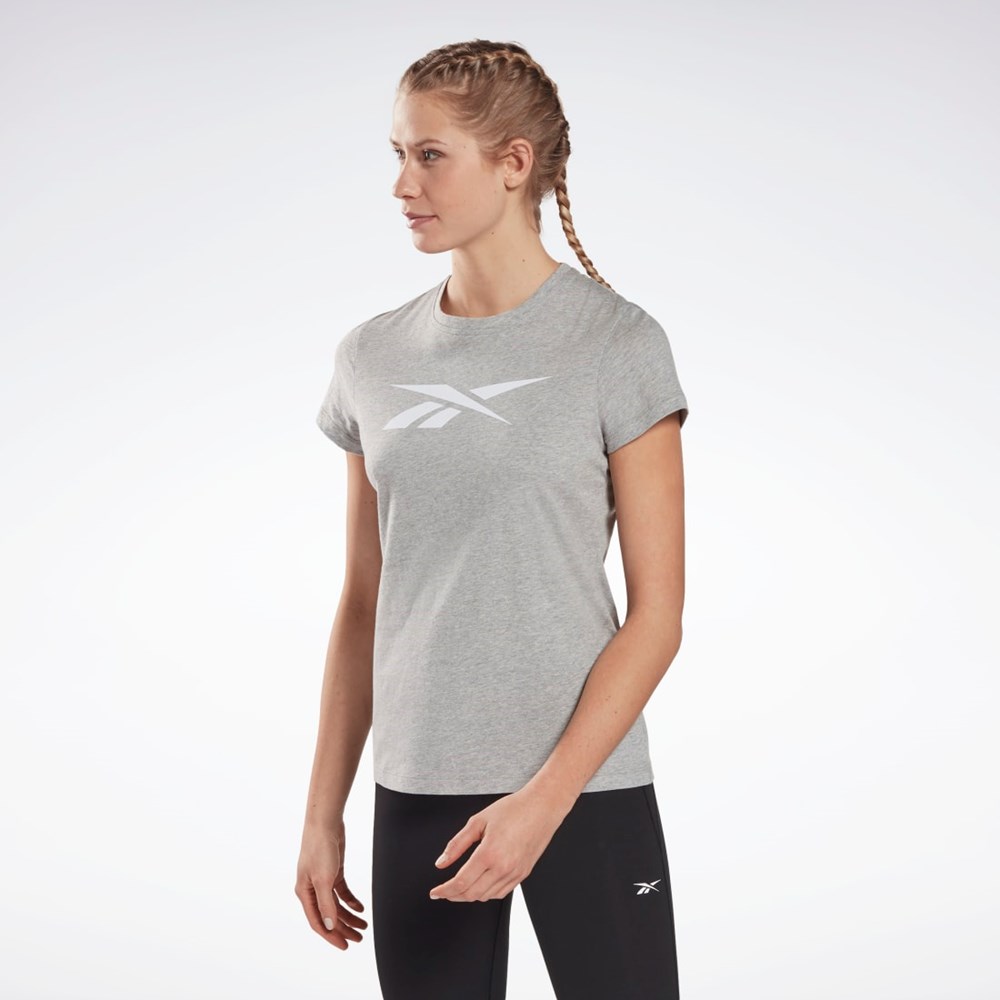 Reebok Tränings Essentials Vector Tryck Tee Grå | FPUZT-8793