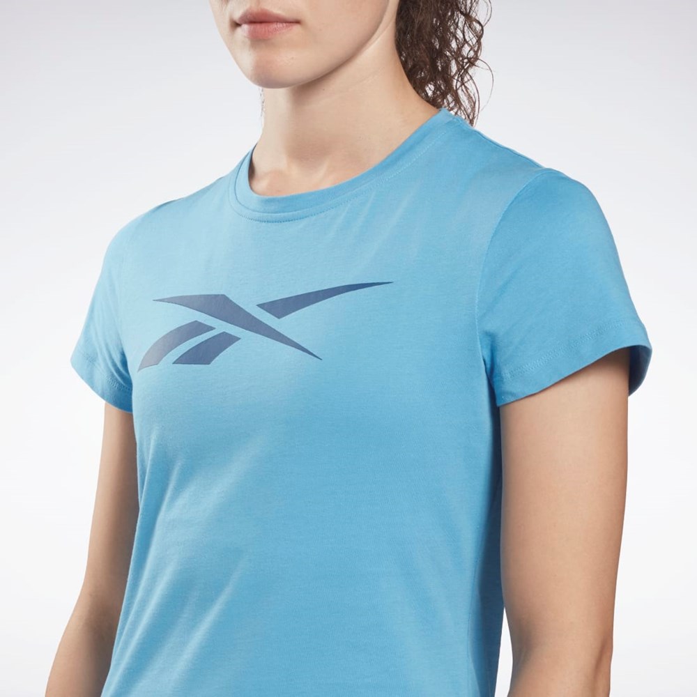 Reebok Tränings Essentials Vector Tryck Tee Blå | PLWOZ-7823