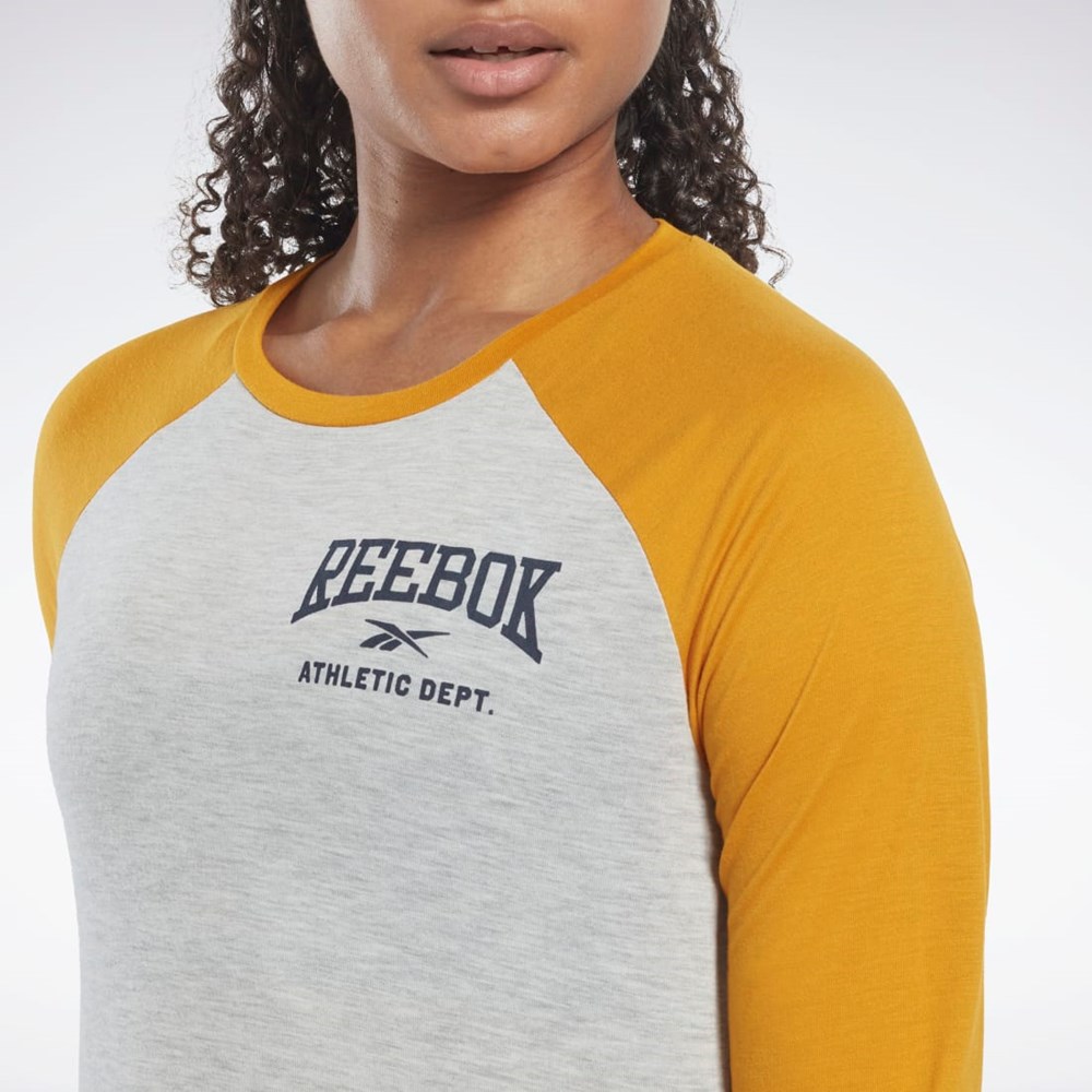 Reebok Workout Ready Baseball T-Shirt Ljusgrå | QFVBC-4859