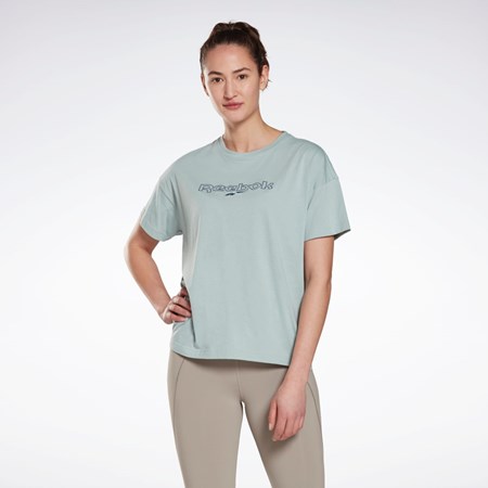 Reebok Brand T-Shirt Grå | GKMZW-3059