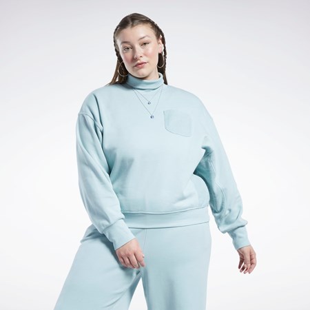 Reebok Classics Bomull French Terry Sweatshirt (Plus Size) Grå | OZBTL-3401