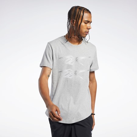 Reebok Classics Tryck Tee Grå | JBLWZ-2631