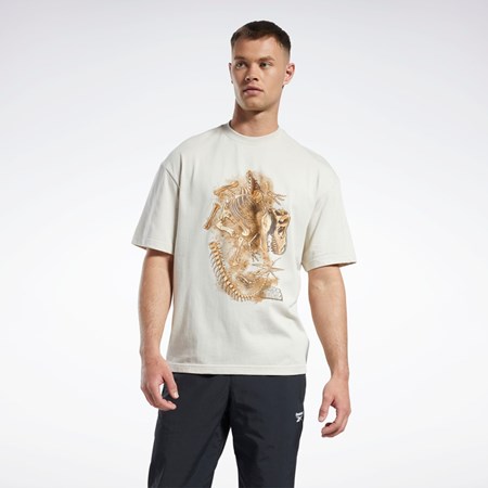 Reebok Jurassic World Fossil T-Shirt Stucco | QBTNS-4908